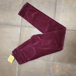 NWT Maroon pants sz 1 / 25